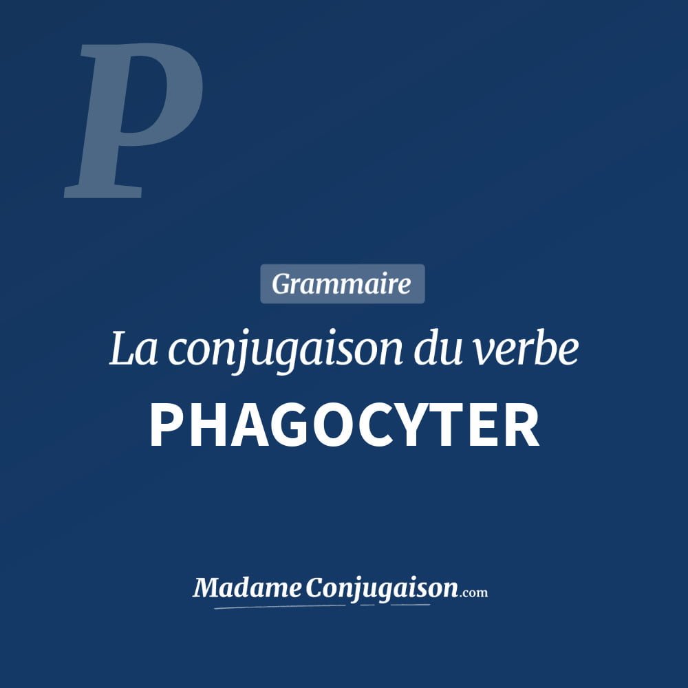 Conjugaison du verbe phagocyter. Toute la conjugaison française de phagocyter conjugué à tous les modes : indicatif - participé passé - subjonctif. Table de conjugaison du verbe phagocyter